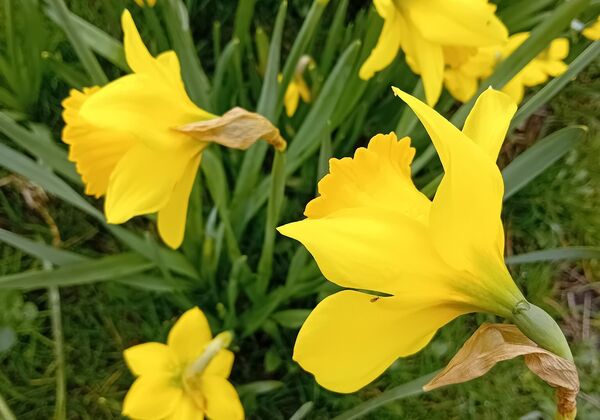 432479632824600999696961558966