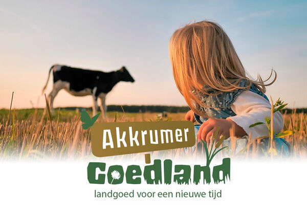akkrumer-goedland